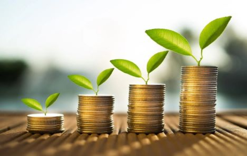 Конкурс для директорів від TAS Life