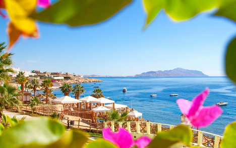 Новий конкурс KD Life