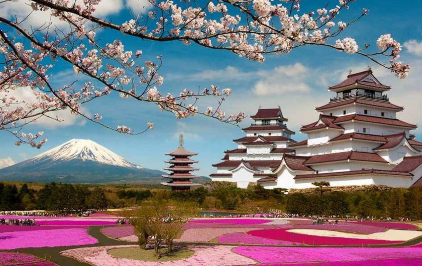 NEW CONTEST FROM PZU: CRUISE - UNIQUE JAPAN!